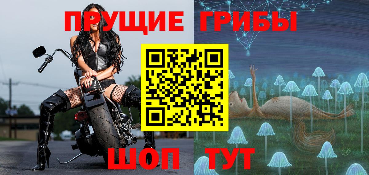 Кузнецк  Псилоцибиновые грибы MAGIC MUSHROOMS  Вход с VPN 